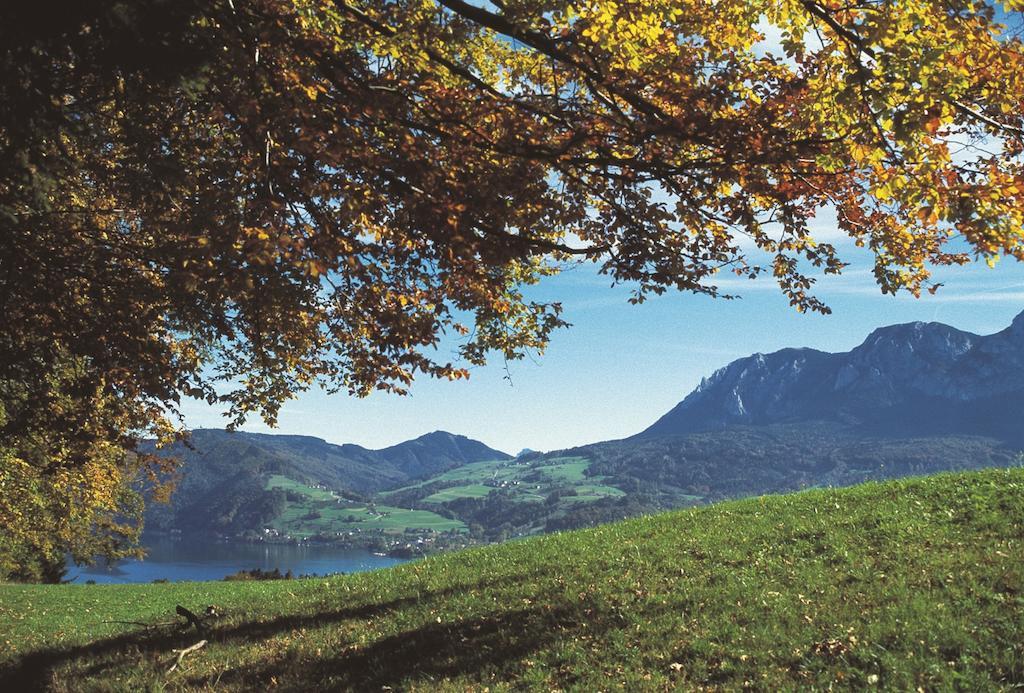 Haus Gruber Hotel Attersee Luaran gambar